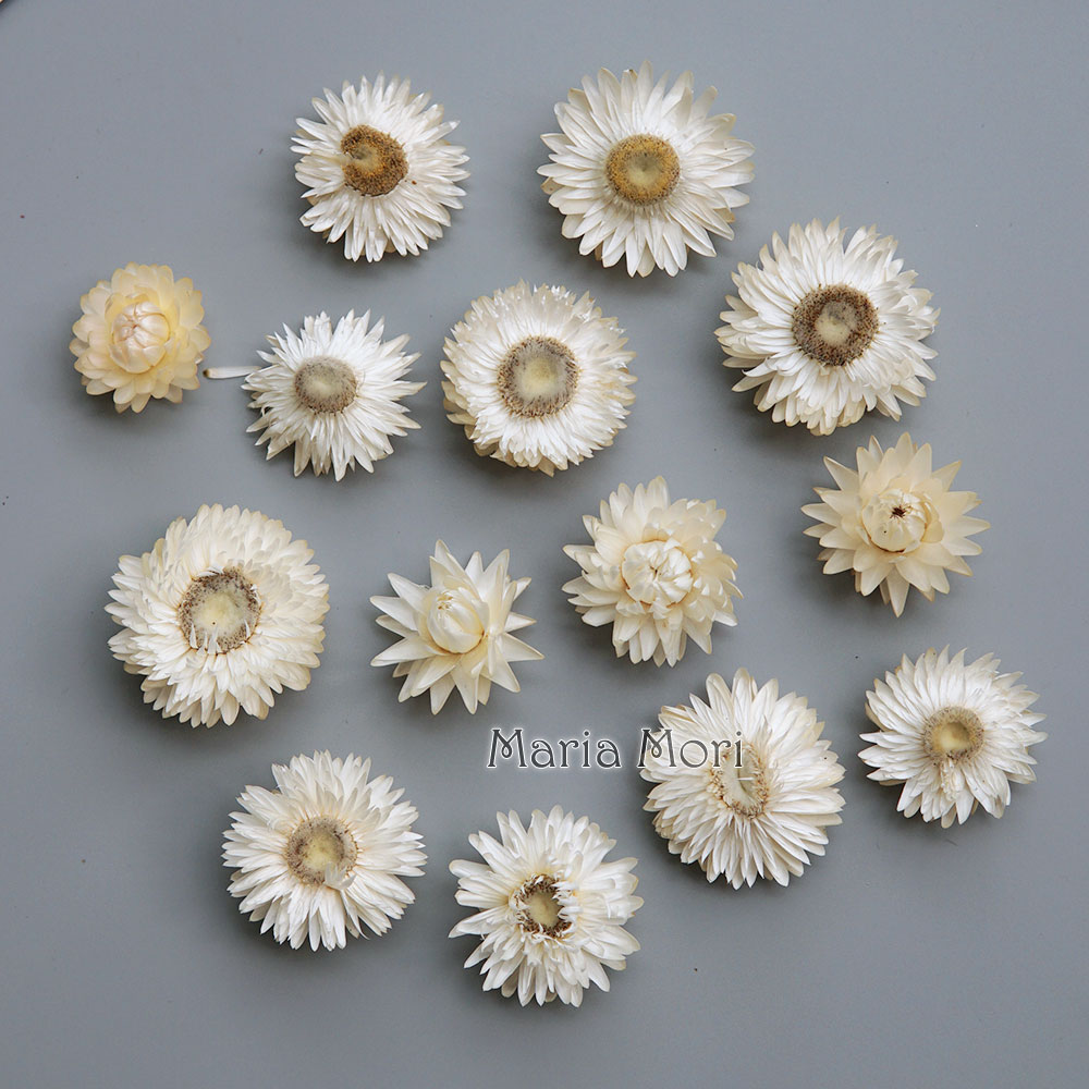 Candle Making Supplies - Natural Dried Colorful Chrysanthemum Wreath Handmade